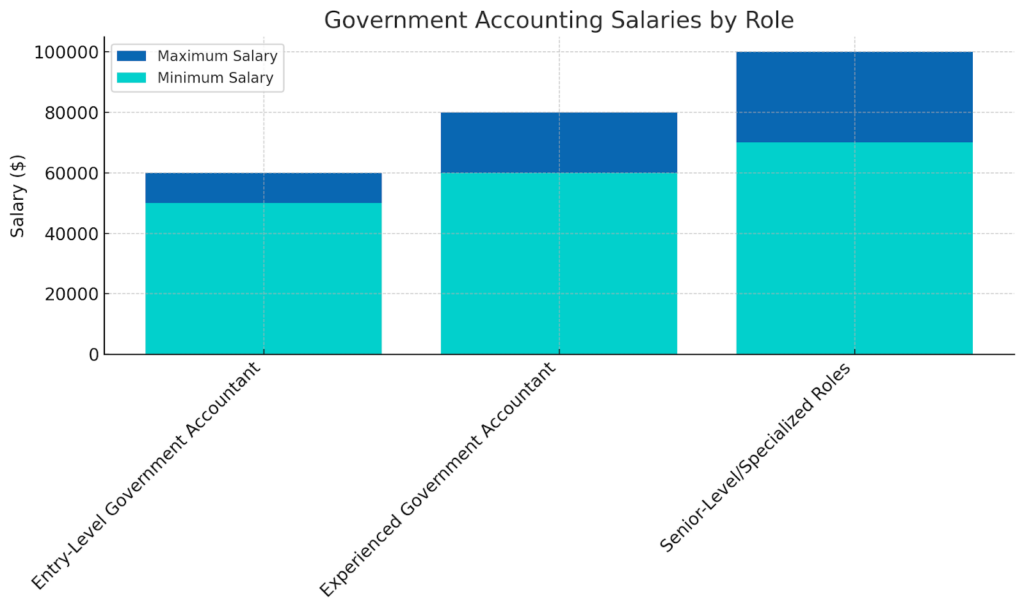 government accounting salaries
