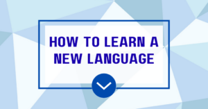 offerpad vs opendoor