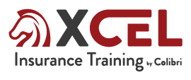 XCEL Insurance Training logo