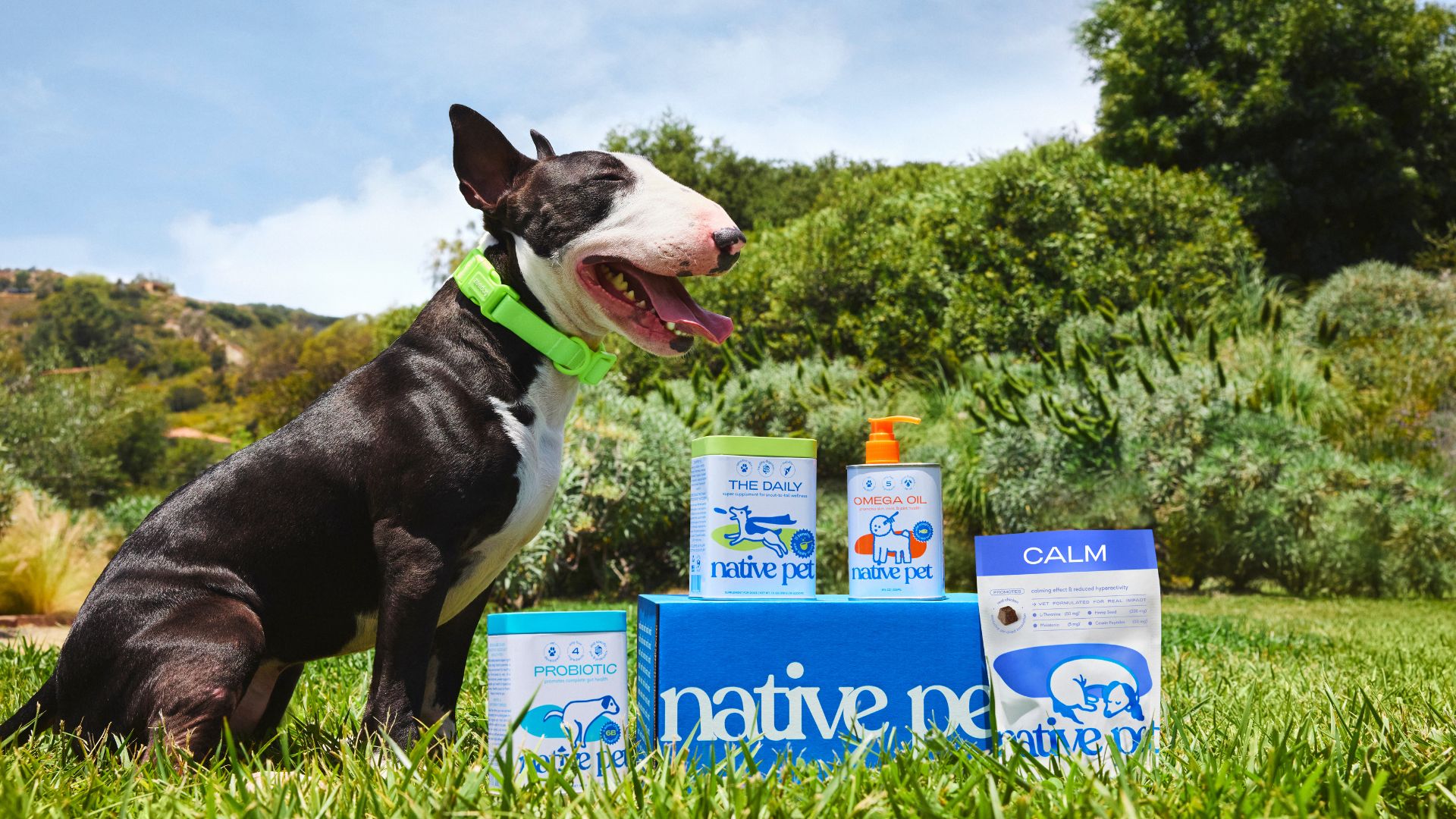 photo of bestselling Native Pet products with happy dog