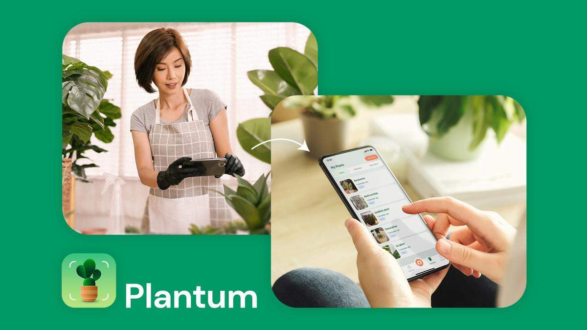 StackCommerce Plantum