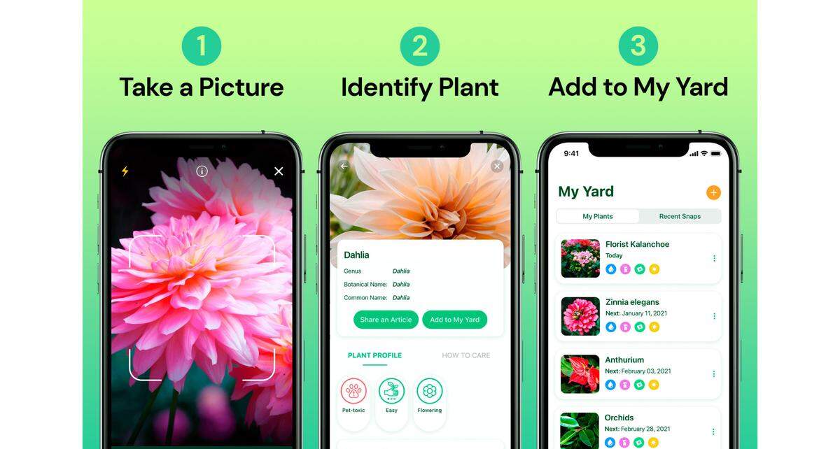 StackCommerce Plantum