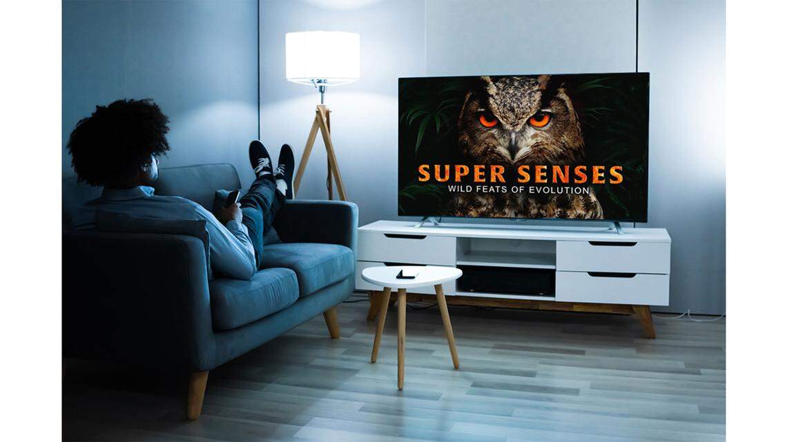 Stream history, science, and more — forever