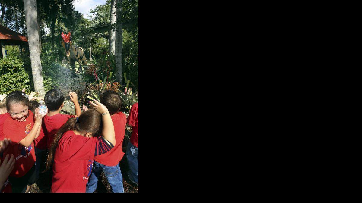 
Mariana Correa, left, Thaimi Hernandez, right, and other kindergarteners from Renaissance Elementary in Doral revel in getting sprayed by a "spitting" Dilophosaurus on Friday, January 23, 2015 during a field trip to Zoo Miami.
