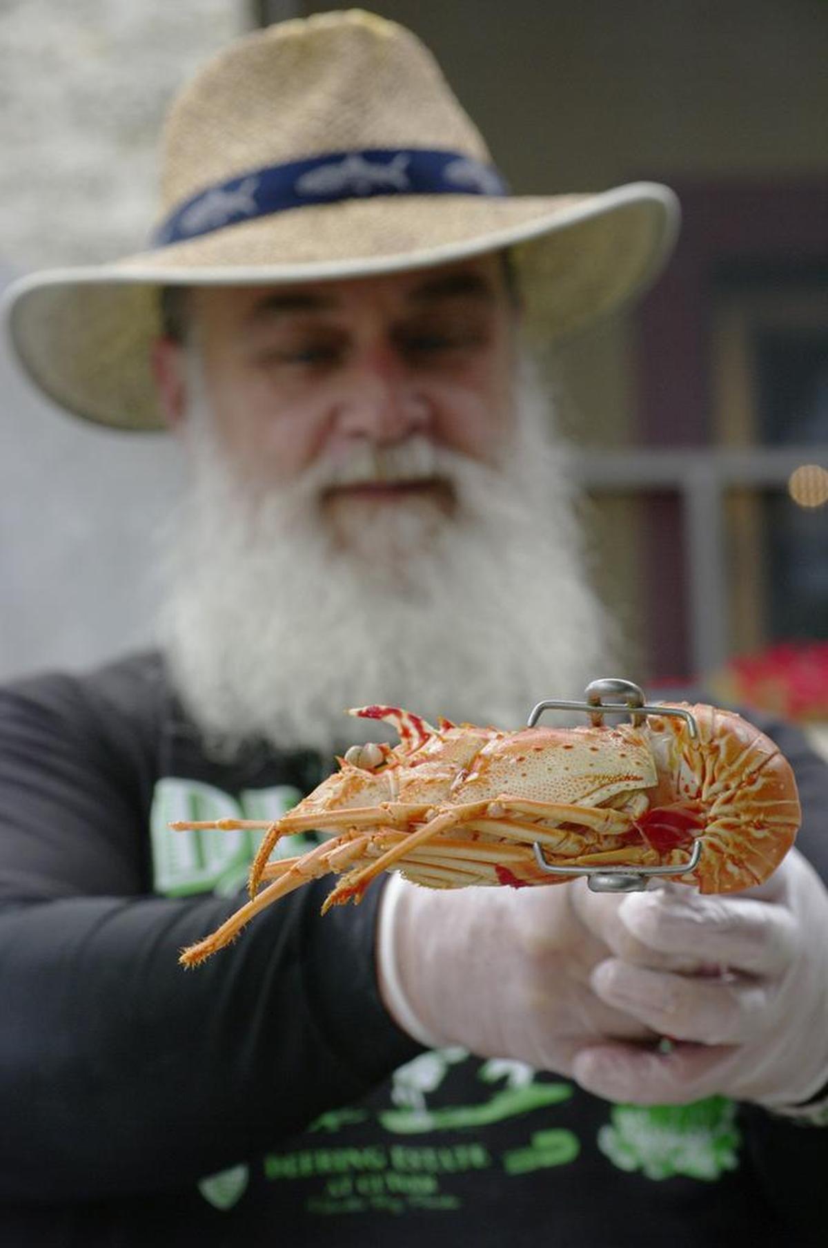 Deering Estate Seafood Festival