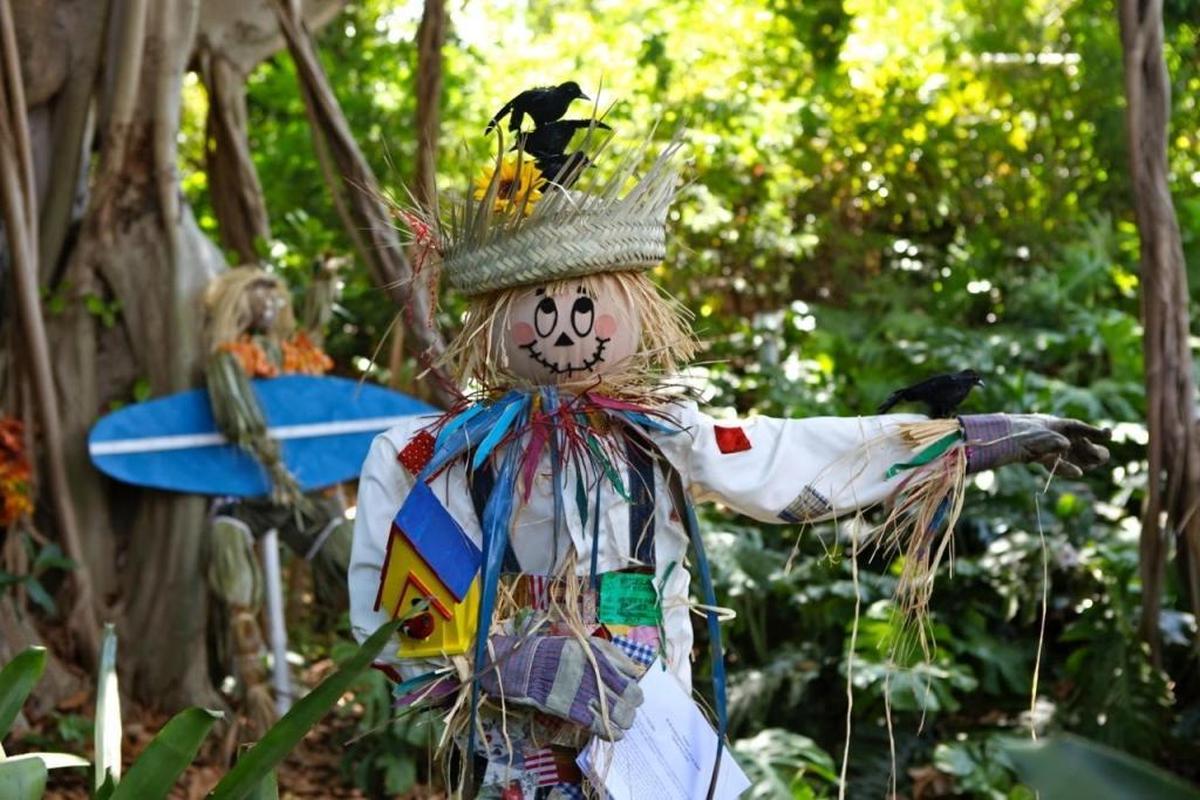 Trick-or-treat through the jungle amid scarecrows and cool, creepy creatures at Jungle Island’s Knock! Knock! event on Saturday, Oct. 31.