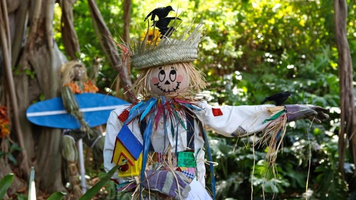 Trick-or-treat through the jungle amid scarecrows and cool, creepy creatures at Jungle Island’s Knock! Knock! event on Saturday, Oct. 31.