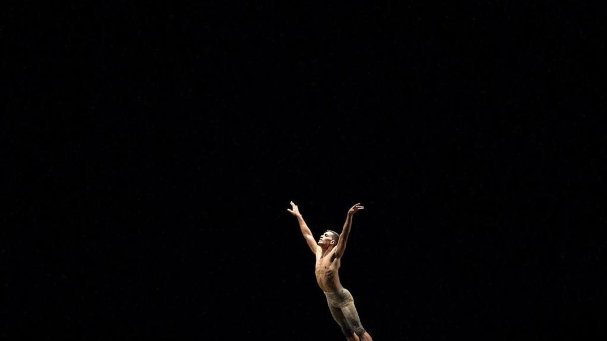 Dancer Josue Justiz of Dimensions Dance Theatre of Miami, a new troupe launched by former Miami City Ballet stars Jennifer Kronenberg and Carlos Guerra, in Tara Lee’s “Under the Olive Tree” at the company’s debut at Dade County Auditorium Sunday