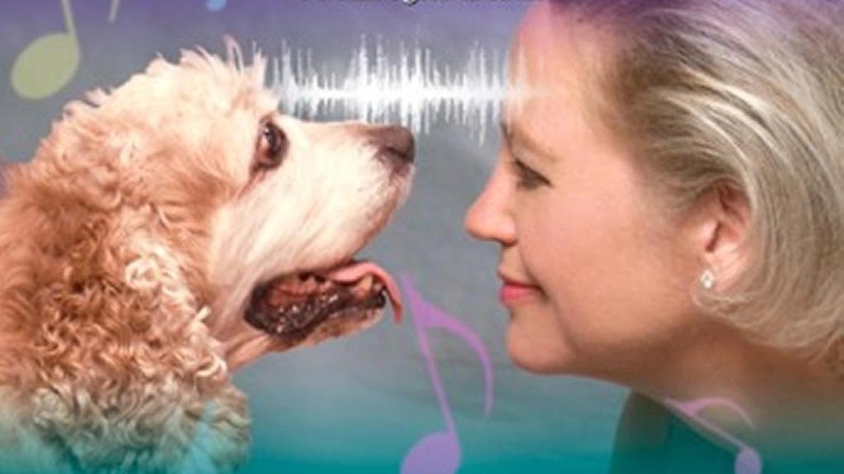 “Songs to Make Dogs Happy” is touted by its creator, The Laurel Canyon Animal Company, as “the only album for dogs ever approved by dogs.” Features “Squeaky Deaky,” an ear worm for dogs you won’t have to take your pet to the vet to treat.