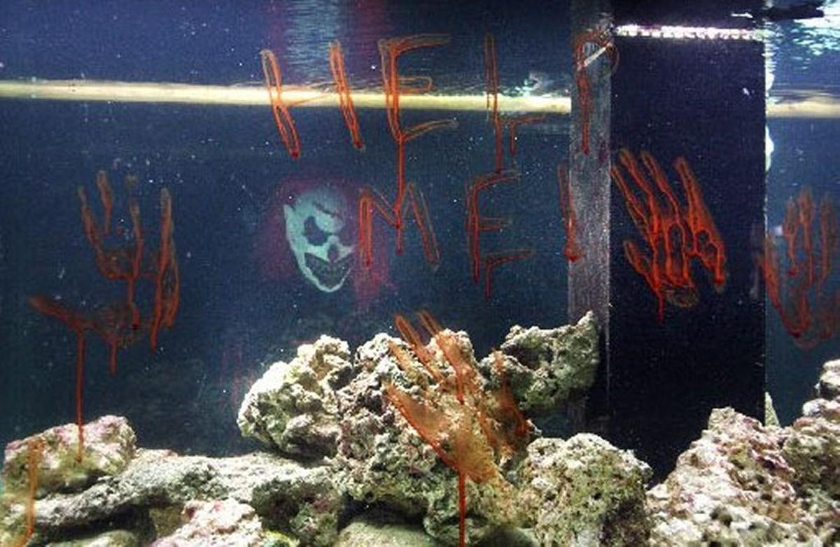 Miami Metro Zoo visitors in the mood to be frightened were able to take a walk through Dr. Wilde’s Screamatorium haunted house during its opening day on Saturday, Oct. 10, 2009. Pictured, a creepy clown looks at visitors while lurking around a fish tank.