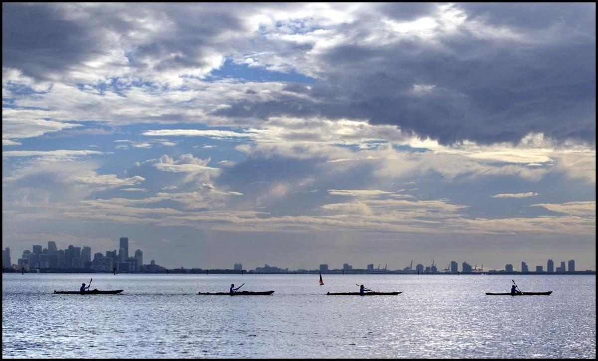 BYOK (bring your own kayak) or rent one at Matheson Hammock for the Poetry Flotilla.