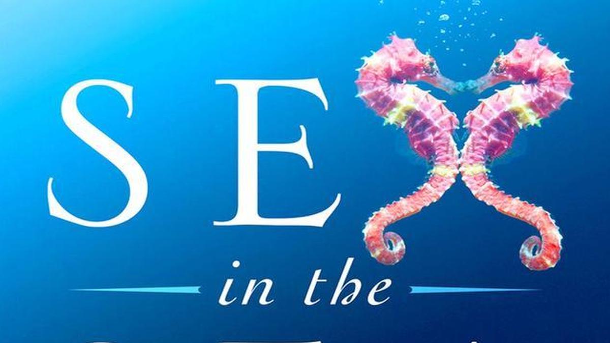 Sex in the Sea; Our Intimate Connection with Sex-Changing Fish, Romantic Lobsters, Kinky Squid, and Other Salty Erotica of the Deep. Marah J. Hardt. St. Martin’s Press. 277 pages. $26.99.