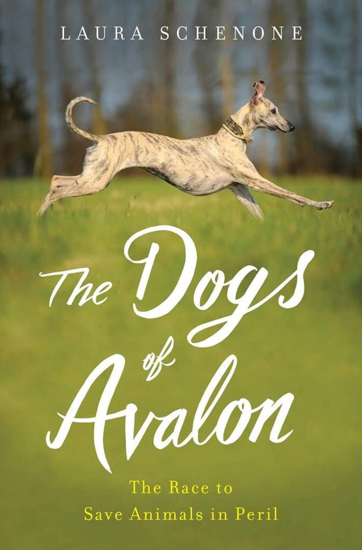 The Dogs of Avalon: The Race to Save Animals in Peril. Laura Schenone. Norton. $26.95.