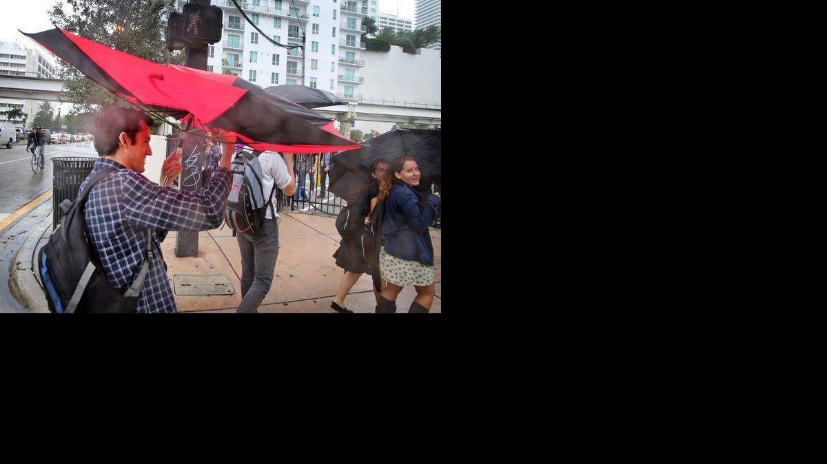 
Carlos Alicea, a Miami Dade College student, battles the wind and rain while attending the Miami Book Fair International's street fair Friday, Nov. 21, 2014.
