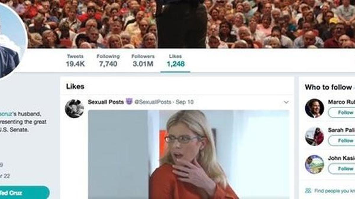 Screenshot of Ted Cruz’s Twitter account