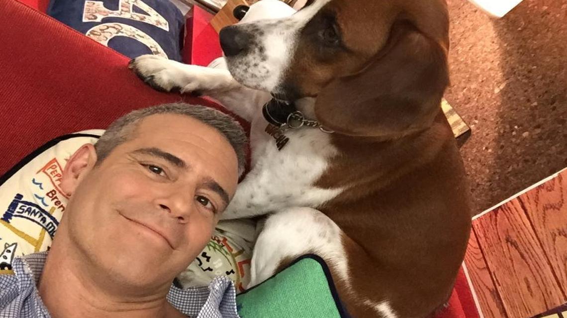 Andy Cohen with his dog Wacha. The talk show host and producer will be appearing at Miami Book Fair this year.