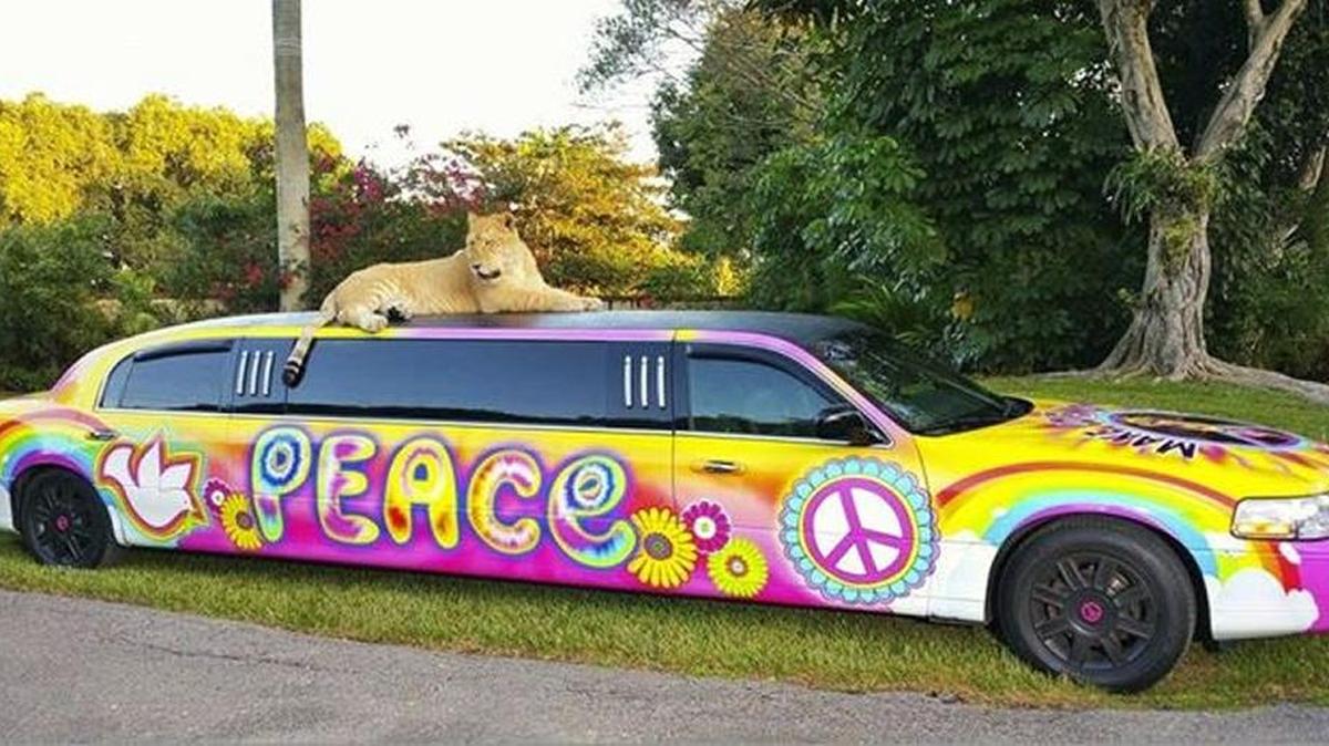 Sir Ivan’s car
