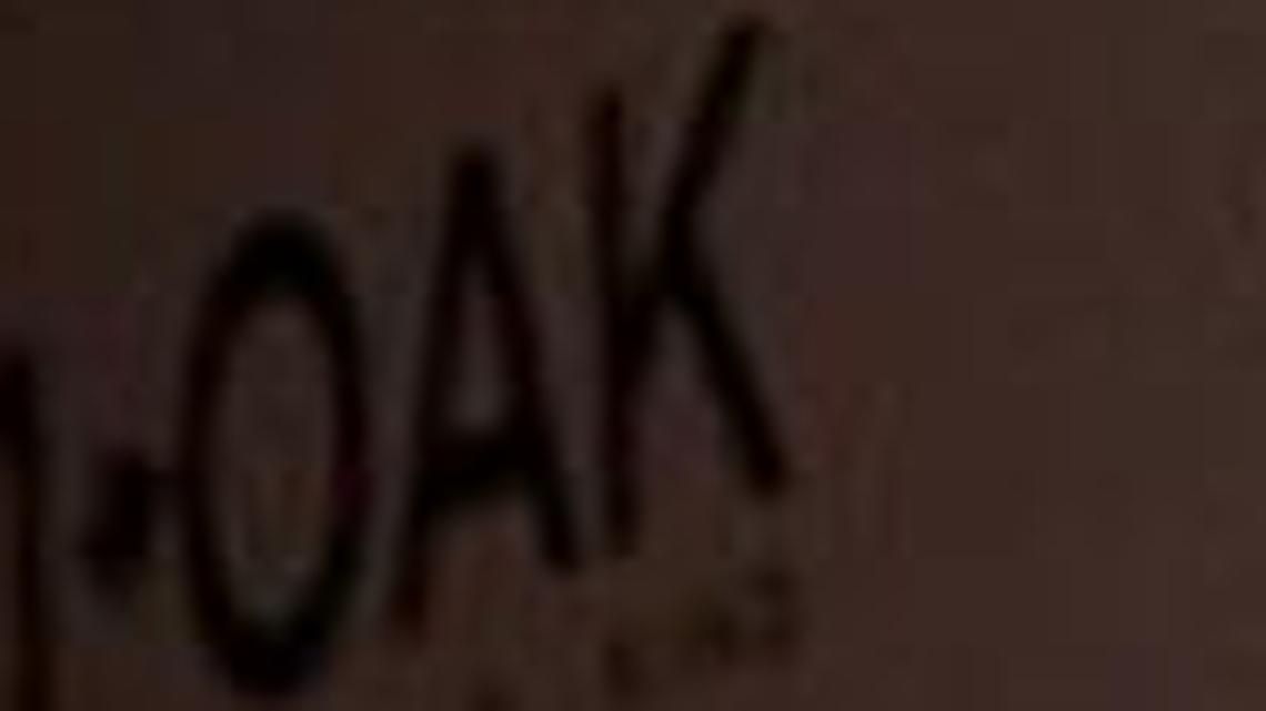 Alan and Tanya Thicke