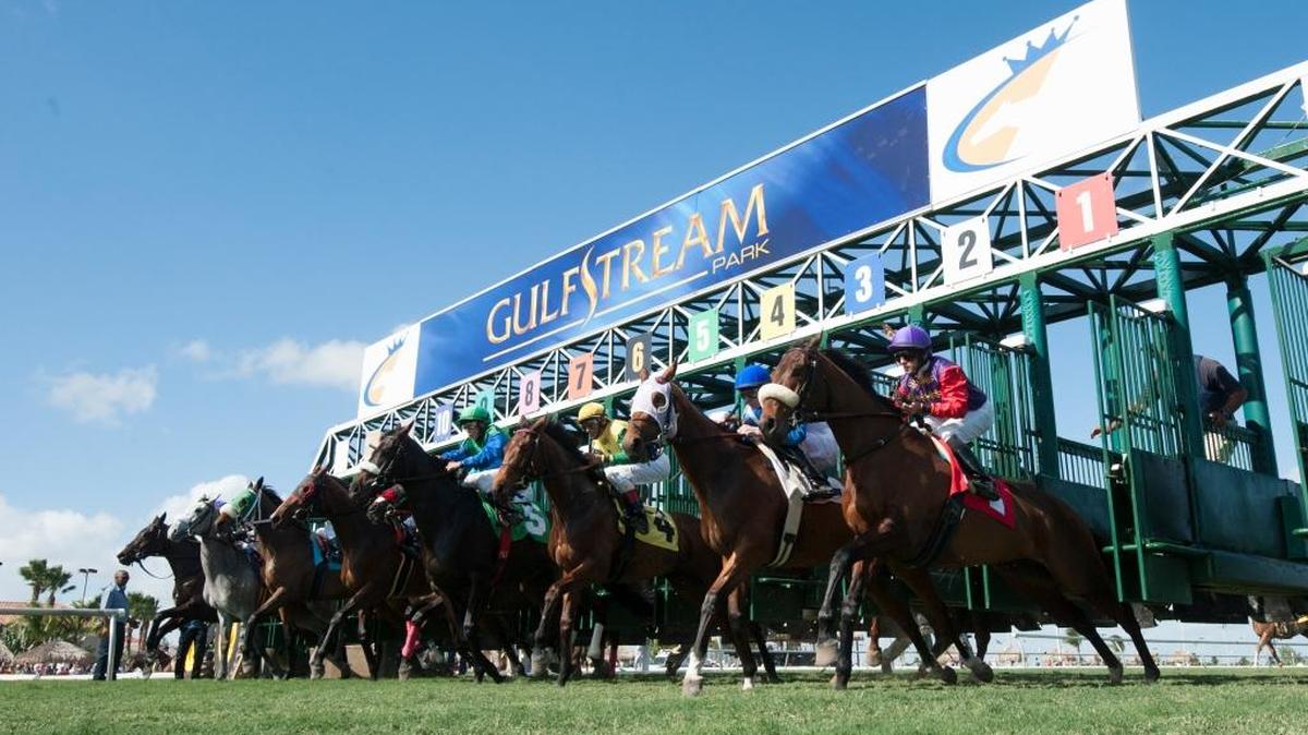 Full fields of horses mean more possibilities for bettors, and that has helped bring more action at Gulfstream Park in Hallandale Beach.