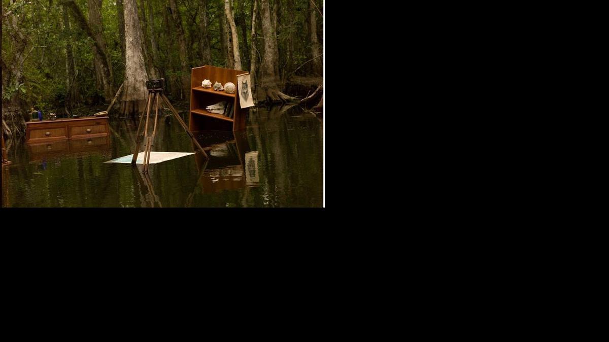 
A photo from artist Dana Levy’s ‘Emerging Swamp Series’ is on display as part of ‘Common Ground: Artists in the Everglades’ at Florida Atlantic University’s Schmidt Center Gallery.
