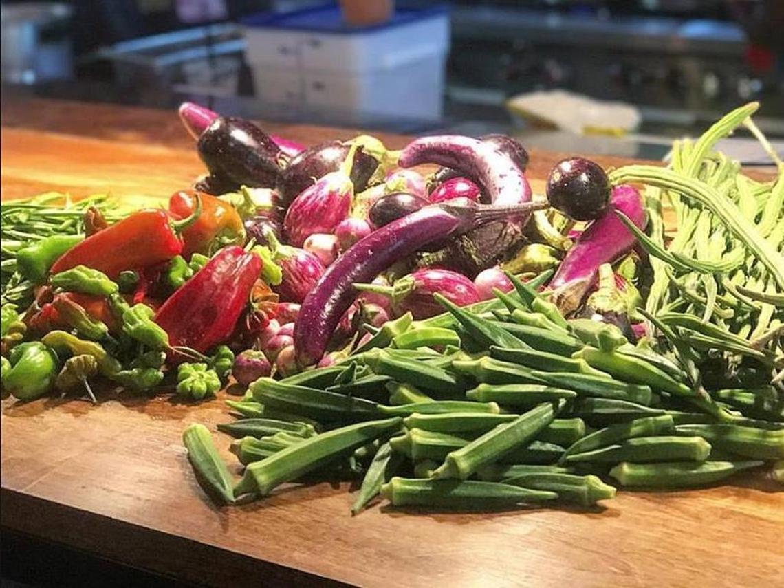 Ghee Indian Kitchen incorporates fresh fruits, vegetables and spices cultivated on chef/owner Nivan Patel’s Homestead farm.