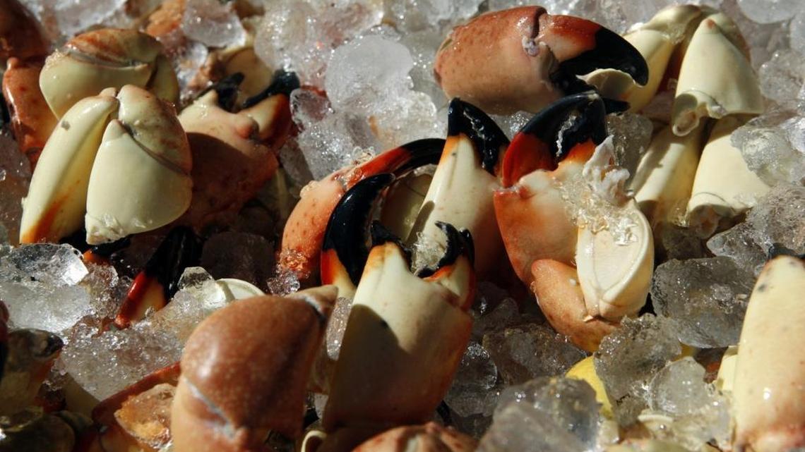Hurricane Irma hurt the Florida lobster industry last month. What will that mean for stone crab season, which starts Oct. 15?