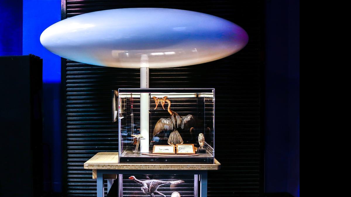 
Sculptor Robert Chambers and scientist GeCheng Zha collaborated on the mixed media piece ‘Insight Flight’ at the Frost Museum of Science.
