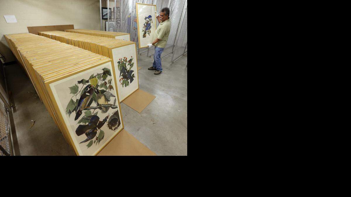
Frank Acosta stands next to framed Audubon prints being prepared for display at HistoryMiami. The museum is hosting "The Complete Audubon: The Birds of America" exhibition starting Feb. 27. It is the first time all 435 first edition, life-size prints will be displayed at the same time in the same venue.
