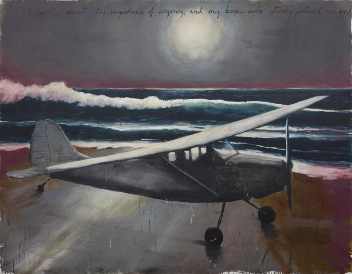 Works by Enrique Martinez Celaya — including an installation incorporating a full-size aircraft — will celebrate the 40th anniversary of the Fredric Snitzer Gallery in downtown Miami.