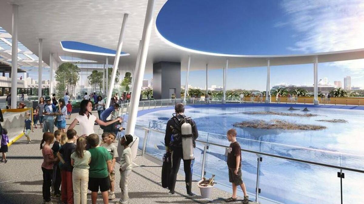 
This rendering shows the new Patricia and Phillip Frost Museum of Science, which will open at Museum Park in Miami next summer.
