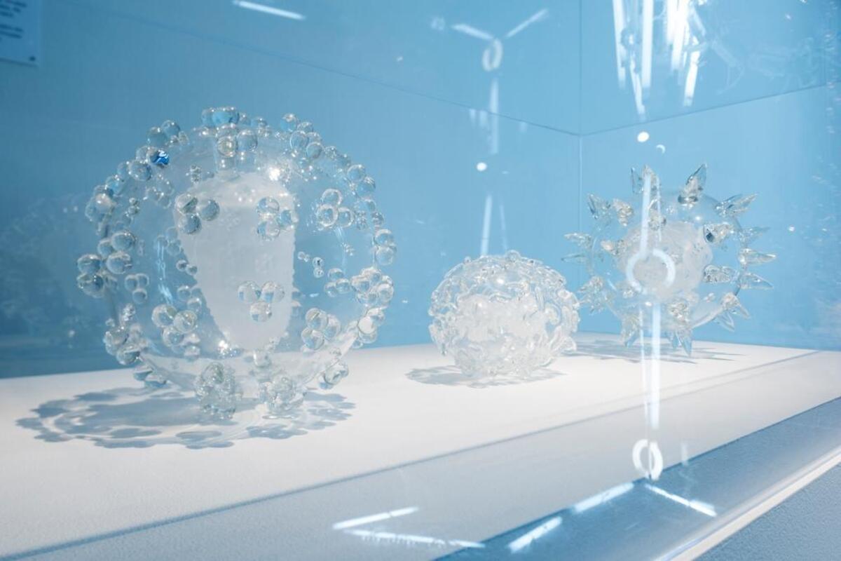 Luke Jerram, (l-r; HIV, Smallpox, Untitled Future Mutation). Flame-worked blown glass.