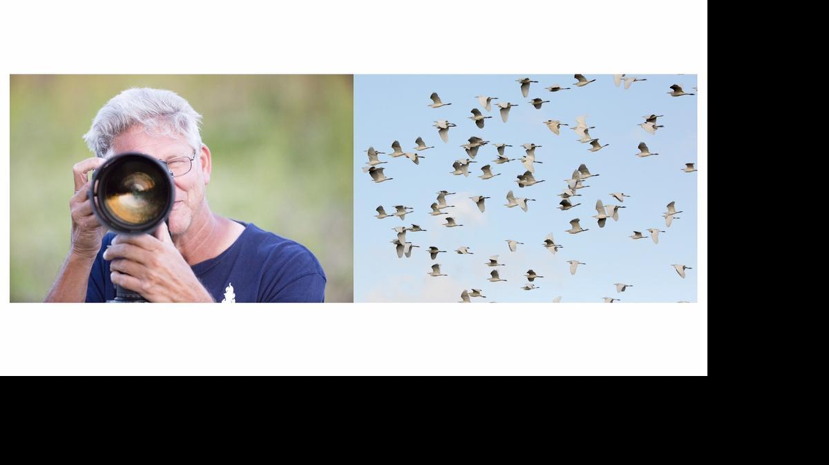 
Photographer Alan Winslow unveils ‘Portraits of Birds’ at the Tropical Audubon Society.
