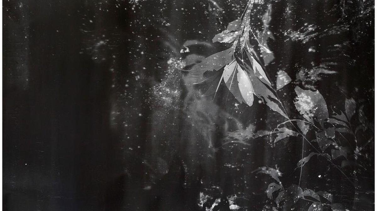 Roberto Huarcaya, ‘Amazogramas,’ fragment of a photogram.