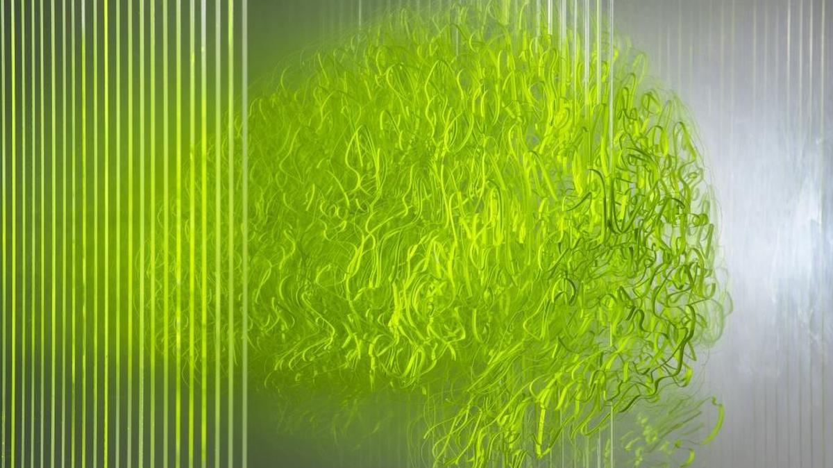 Felice Grodin (artist), Dr. Angela Laird (scientist), BYO-Lab (designer); Neural Networks, 2016.
