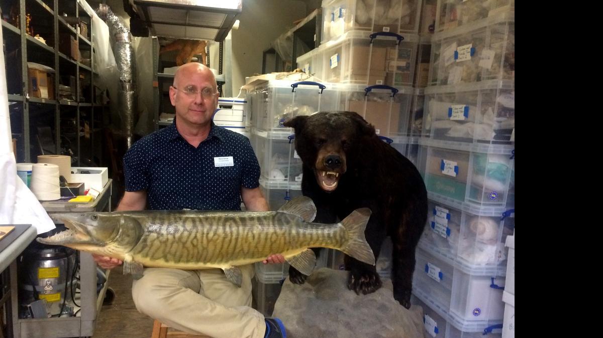 
Kevin Arrow’s work at the Patricia and Phillip Frost Museum of Science brings him into contact with a different kind of art.
