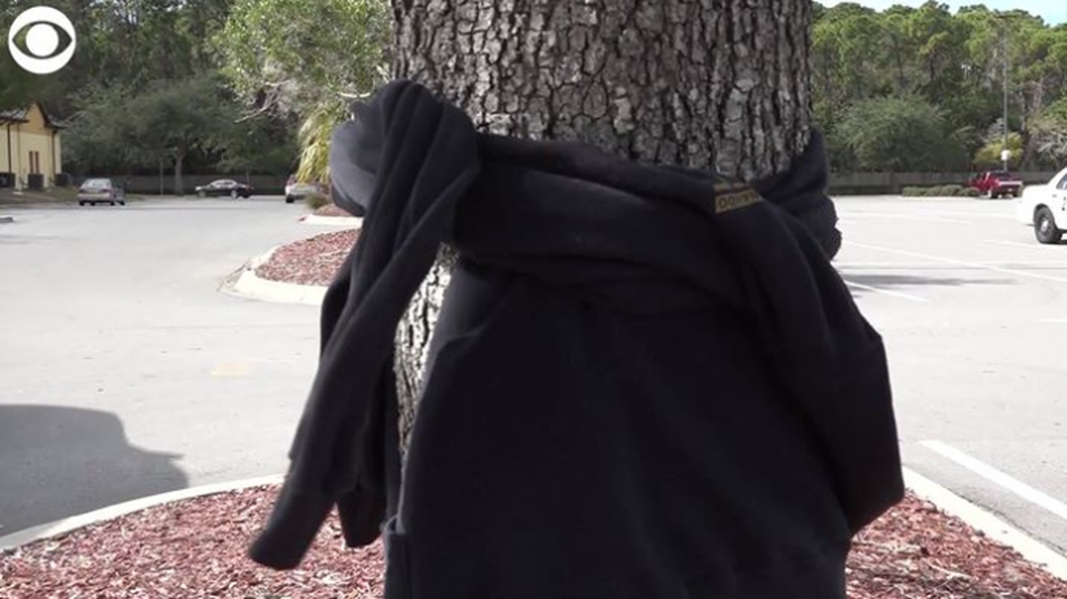 Sweater wrapped around tree in Port Richey, Florida