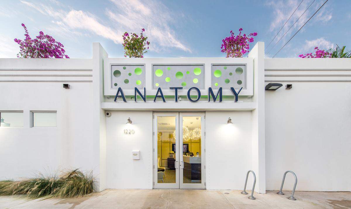 Anatomy in Miami Beach.