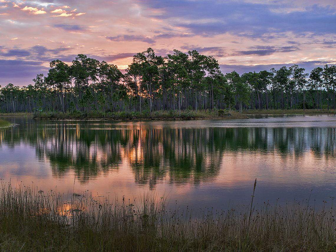 Long Pine Key photograph by Pedro Lastra/flickr.