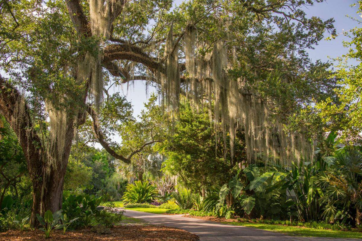 Fairchild Tropical Botanic Garden photograph by Jason Lopez.