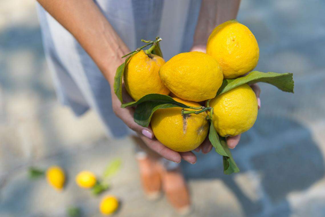 La Centrale. Photograph by Dillon Burke.