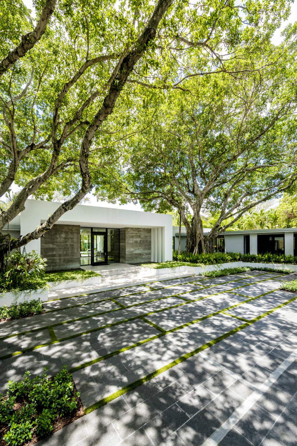 ‘I tend to design in three dimensions,' Fernando Wong says. 'Sometimes that includes trees that are already there.’ Pictured: a private residential landscape Wong designed in Miami Beach. Photograph by Nick Garcia for INDULGE.