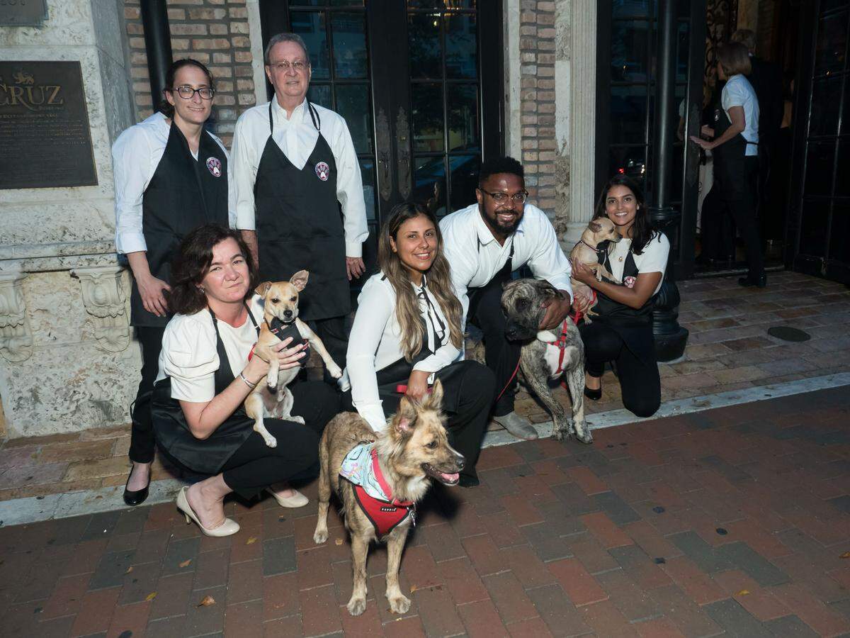 Paws4You volunteers and dogs available for adoption.