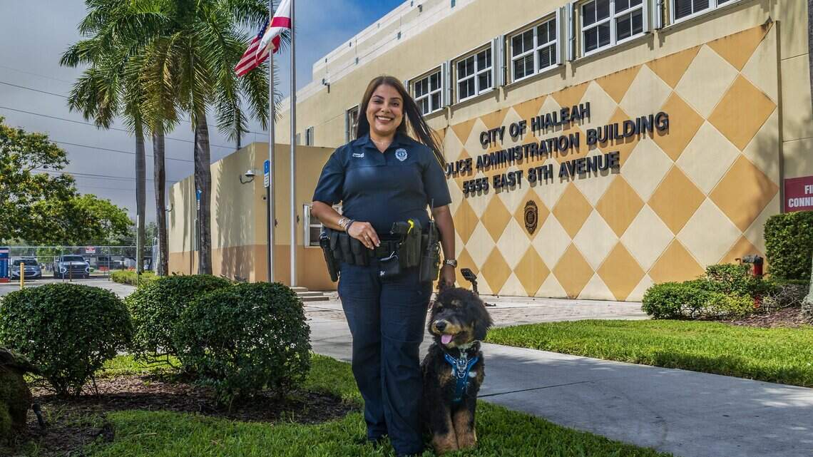 Meet Domino, Hialeah’s newest police dog, whose job is helping people heal