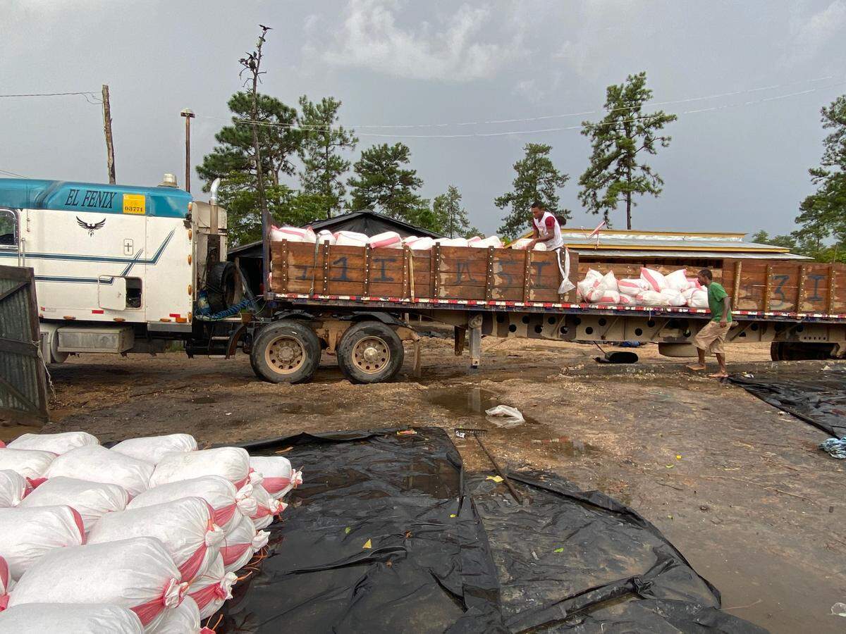 Pine resin is loaded onto a truck in Waspam, Nicaragua.