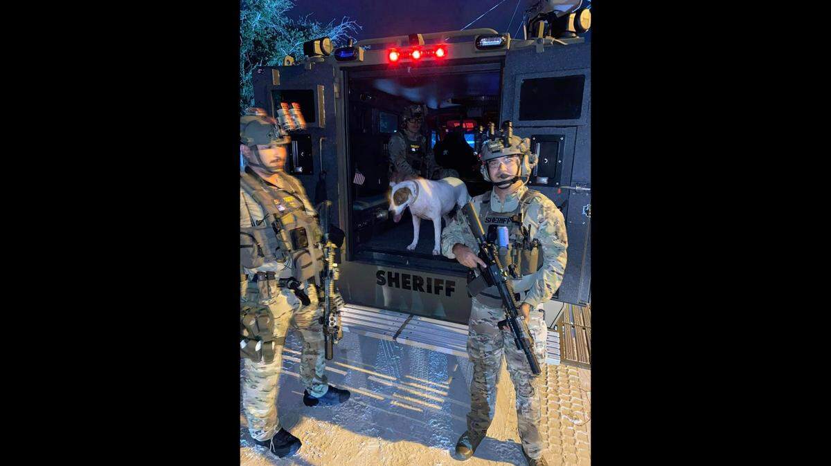A Florida SWAT confrontation took an odd turn when a dog bolted from the home’s front door and jumped into the back of an armored vehicle, according to the Martin County Sheriff’s Office.
