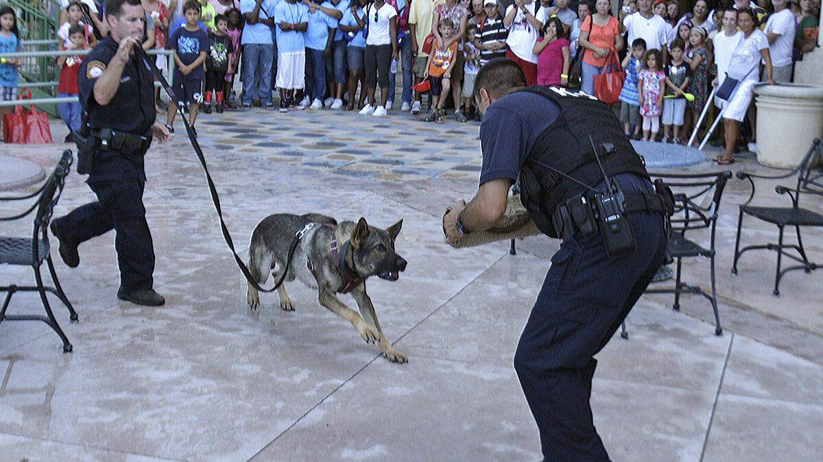 Hallandale Beach officers demonstrate K-9 maneuvers at a National Night Out event in 2011 at Gulfstream Park.