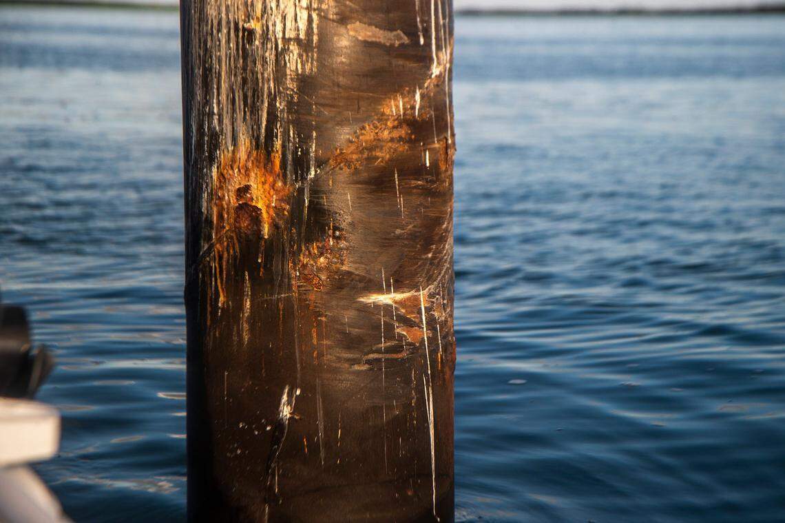 Detail view of the channel marker #15, in the intracoastal Waterway on Biscayne Bay, where a tragic fatal boat crash happened last Sunday September 4th, killing Miami-Dade County high school senior Luciana Lucy Fernandez and sending 14 people into the water. on Thursday September 08, 2022.