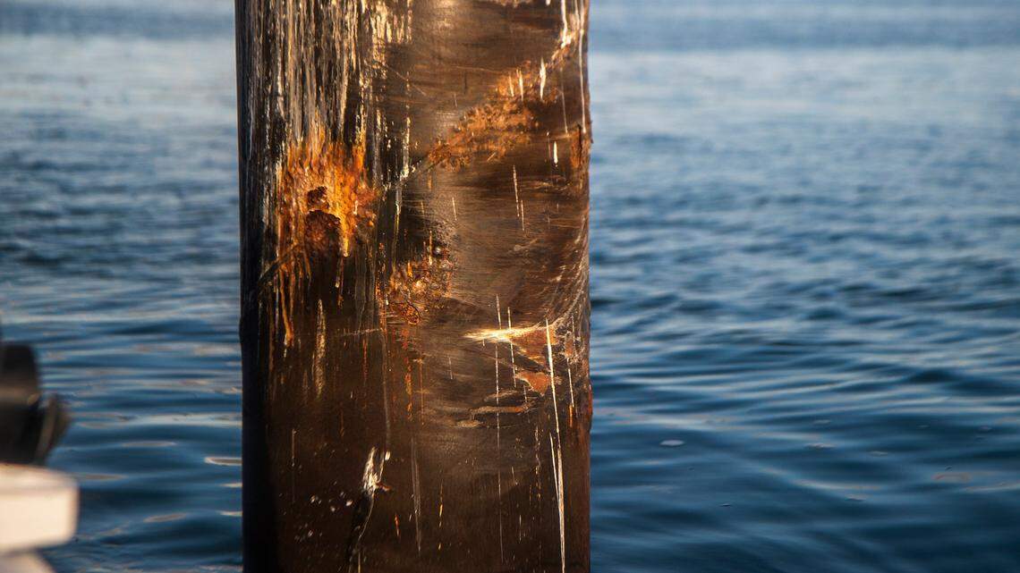 Police say alcohol played no role in fatal boat crash, but bodycam video raises questions