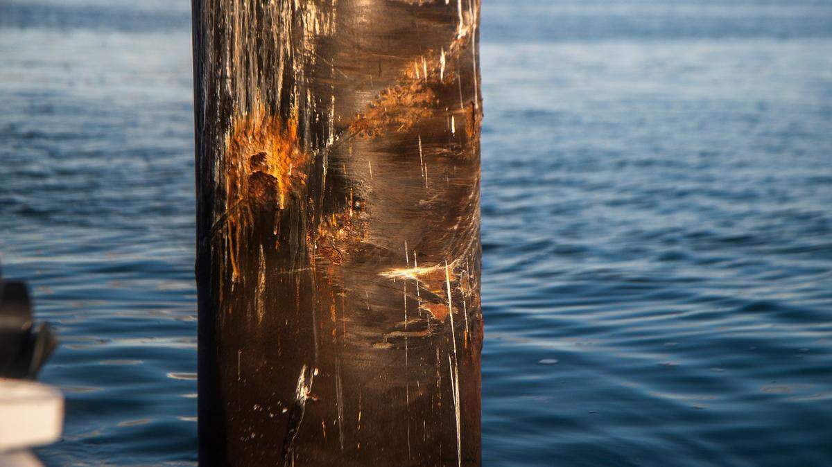 Police say alcohol played no role in fatal boat crash, but bodycam video raises questions