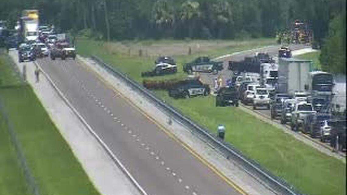 Herd of grazing cows shuts down stretch of Florida’s Turnpike, causes backups for hours